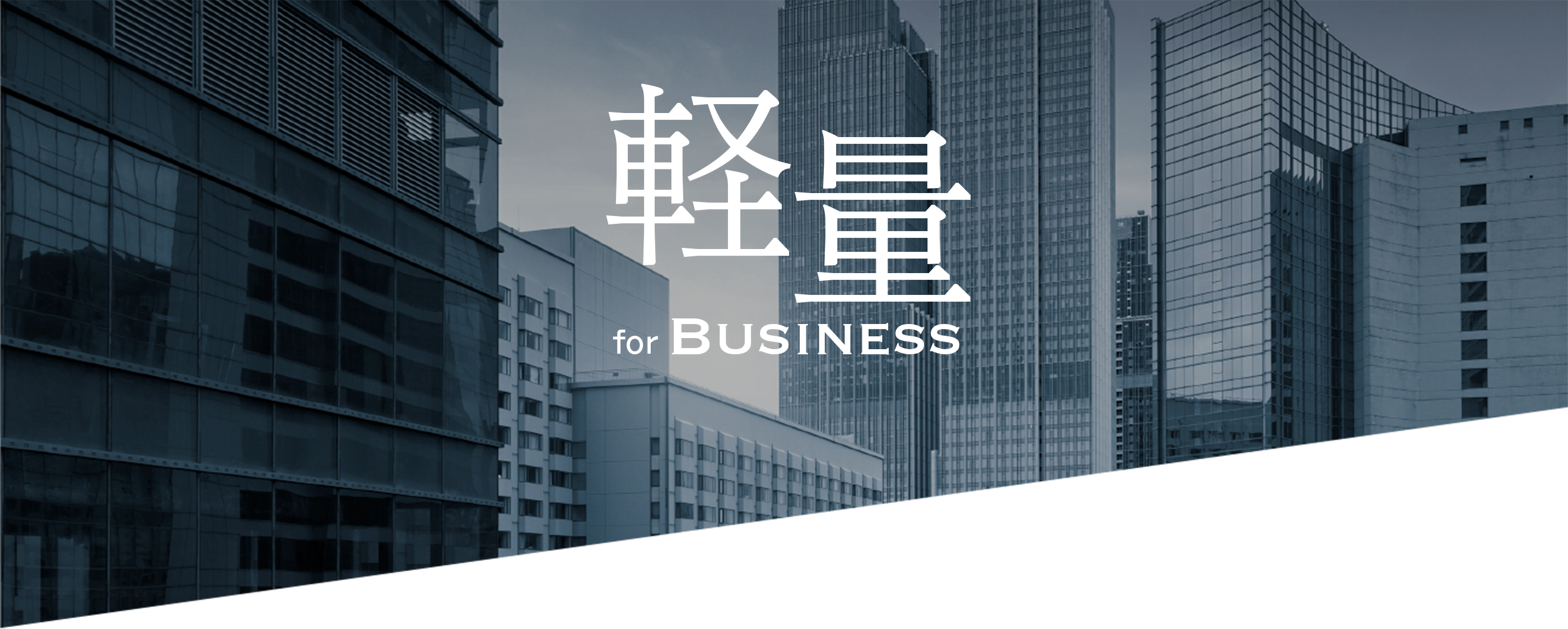 軽量 for BUSINESS